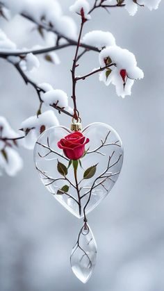 a heart shaped ornament hanging from a tree branch with a rose in it