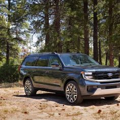 2025 Ford Expedition: Fresh Styling, Digital Experiences, New Split Tailgate & Rugged Tremor Model