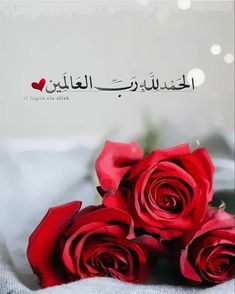 three red roses sitting on top of a white blanket with arabic writing above it and an image of two red roses in the foreground