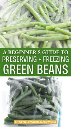 green beans in plastic bags with text overlay that reads, a beginner's guide to preserving and freezing green beans