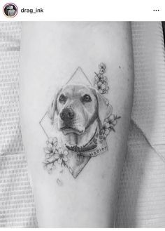 a black and white photo of a dog with flowers on it's leg