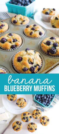 blueberry muffins in a pan with the title above it