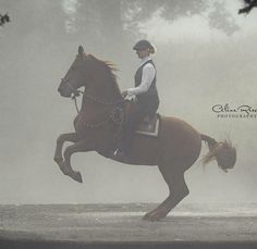 a woman riding on the back of a brown horse through a foggy park area