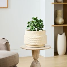 there is a small potted plant sitting on top of a table in the living room