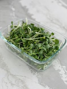 a glass bowl filled with green sprouts on top of a marble countertop