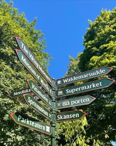 a pole with many different street signs in front of some green trees and blue sky