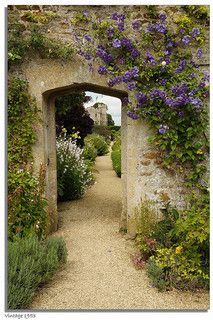 an archway with purple flowers growing on the wall and in the middle is a gravel path that leads to a stone building