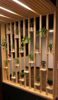 a wooden shelf filled with potted plants on top of a hard wood floor next to a wall