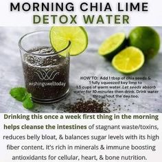 Key Lime Water, Mucoid Plaque, Detox Smoothies, Healthy Juice Drinks, Lime Water, Healthy Juice Recipes, Healthy Drinks Recipes, Astringent