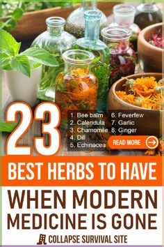 the best herbs to have when modern medicine is gone