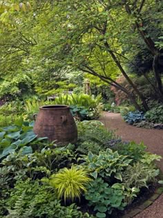 a garden filled with lots of different types of plants