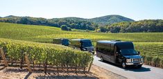 three vehicles driving down a road next to a vineyard