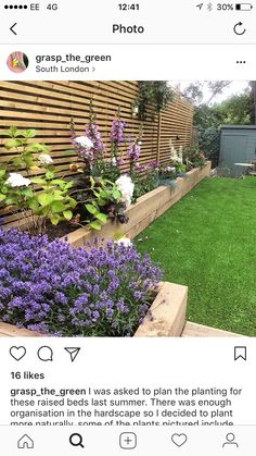 an instagram page with purple flowers and green grass