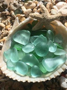 sea glass in a shell with a starfish on the rocks and sand behind it