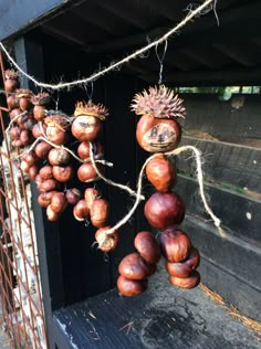 Conkers Craft, Autumn Eyfs Activities, Autumn Eyfs, Halloween Things To Do, Nursery Crafts, Autumn Leaves Craft, Fall Preschool Activities, Acorn Crafts