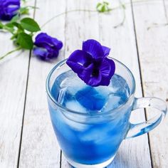 a glass cup filled with blue liquid and purple flowers