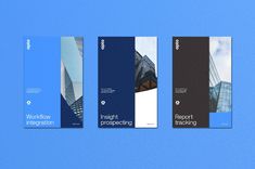 four vertical brochures on a blue background