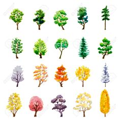 watercolor trees on white background royalty photo - image 3498742