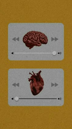 an image of the human heart and brain with arrows pointing to it's left side