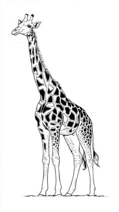 a black and white drawing of a giraffe standing in front of a white background