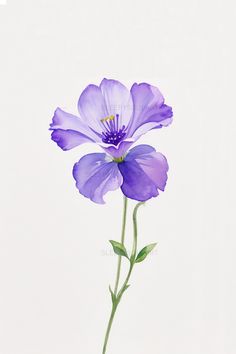 a single purple flower in a white vase