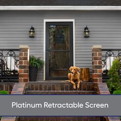 a dog sitting on the front steps of a house with text overlay that reads, platnum retractable screen