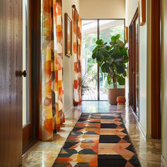 an orange and black rug is on the floor next to a potted plant in a hallway