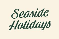 the words seaside holidays written in green ink