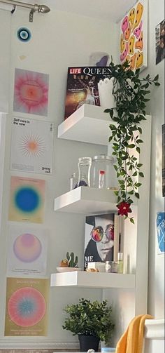 there is a potted plant in the corner of this room with pictures on the wall