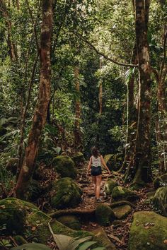 a woman is walking through the jungle on a trail with mossy rocks and trees