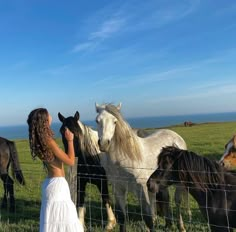 a girl is petting some horses behind a fence in a field near the ocean