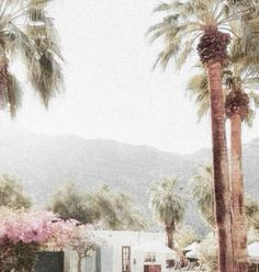 palm trees are in front of a house with mountains in the backgrouds