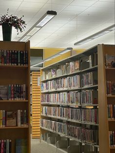 an empty library filled with lots of books