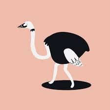 an ostrich is walking across the ground