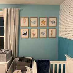 a baby's room with blue walls and pictures on the wall