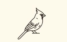 a drawing of a bird sitting on top of a white wall with the words, birds are