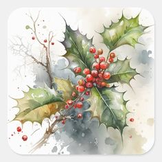 a watercolor painting of holly with red berries