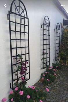 some pink flowers are growing on the side of a white building with black iron windows