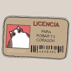 an id card with a cat on it and the words licencia written in spanish