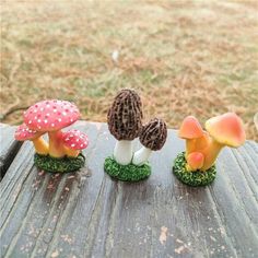 three small mushrooms sitting on top of a wooden table next to eachother in the grass