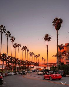 cars are parked on the street in front of palm trees and buildings at sunset or dawn