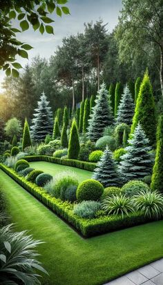 a lush green garden with trees and bushes