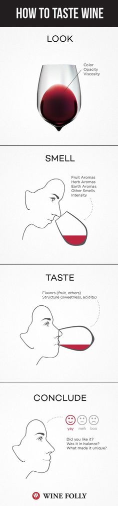 How To Taste Wine, Wine Infographic, Types Of Wine Glasses, Art Du Vin, Wine Facts, Wine Folly, Wine Tips, Wine 101, Wine Knowledge