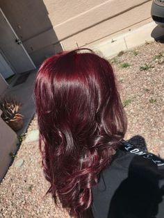 Peek A Boo Color Curly Hair, Red Wine Hair Aesthetic, Hairdye Inspo Aesthetic, Deep Red Layered Hair, Butterfly Haircut Dyed Hair, Red Hair With No Bleach, Deep Cherry Red Hair Ombre, Top Hair Dyed, Red Wine Color Hair