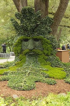 a sculpture made out of plants in the shape of a man's head