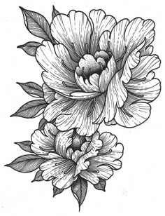 black and white drawing of flowers with leaves