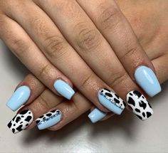 Dark Blue Cow Print Nails, Light Blue Cow Print Nails, Western Nails Blue, Bright Western Nails, Cow Print Nails Blue, Blue Cow Nails, Purple Cow Print Nails, Blue Cow Print Nails, Zebra Acrylic Nails