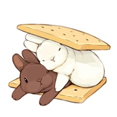 a brown and white bunny laying on top of a piece of bread next to a stuffed animal