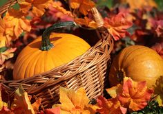 two pumpkins in a basket surrounded by autumn leaves