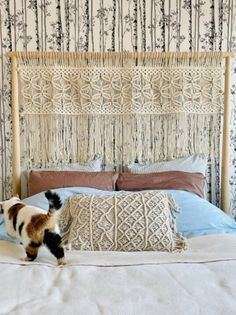 a cat walking across a bed in a room with wallpaper and pillows on the headboard